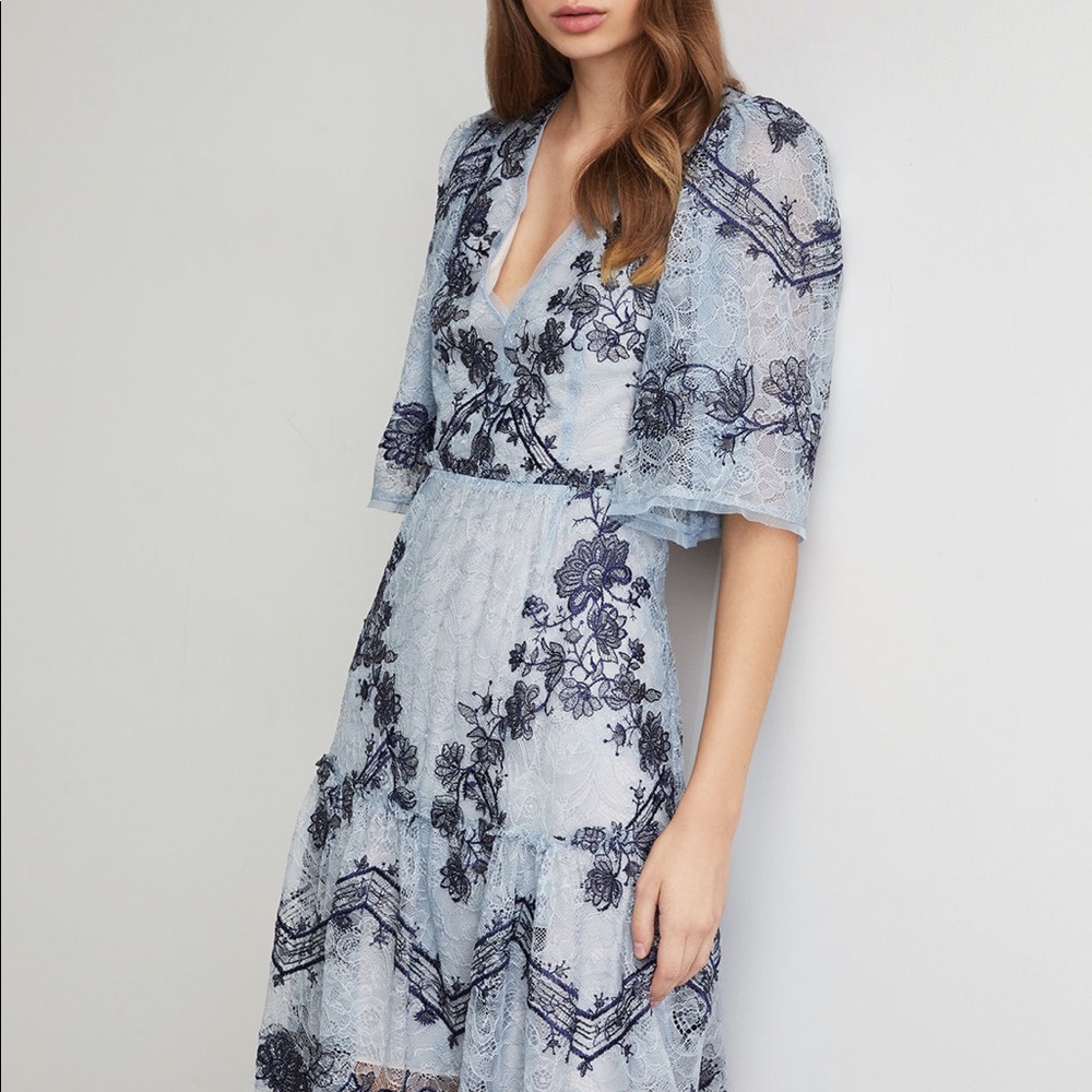 BCBG Floral vine embroidered dress
